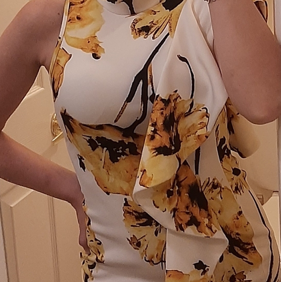 Privy Stylish Ruffled Dress